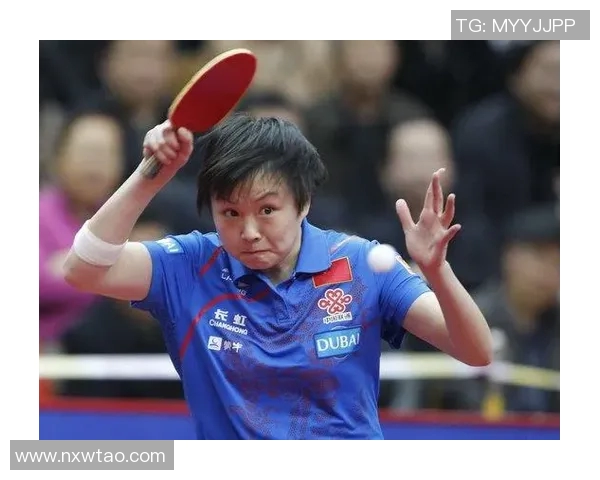 丁宁与胡丽梅巅峰对决乒乓球赛场上的精彩瞬间与技术较量